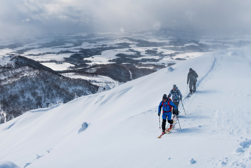 ARCADIA - The captivating natural beauty, world-class ski slopes, and growing international recognition of Niseko have made it an enticing prospect. Flystock/Shutterstock